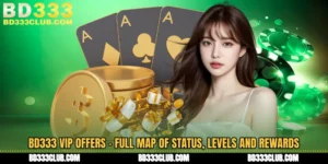 BD333 VIP Offers - Full Map Of Status, Levels And Rewards