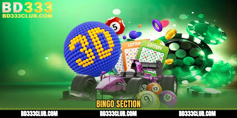 Bingo Section