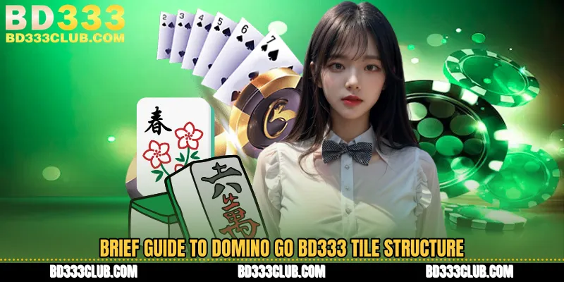 Brief Guide To Domino Go BD333 Tile Structure