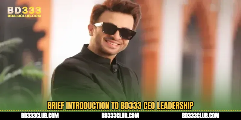 Brief Introduction To BD333 CEO Leadership