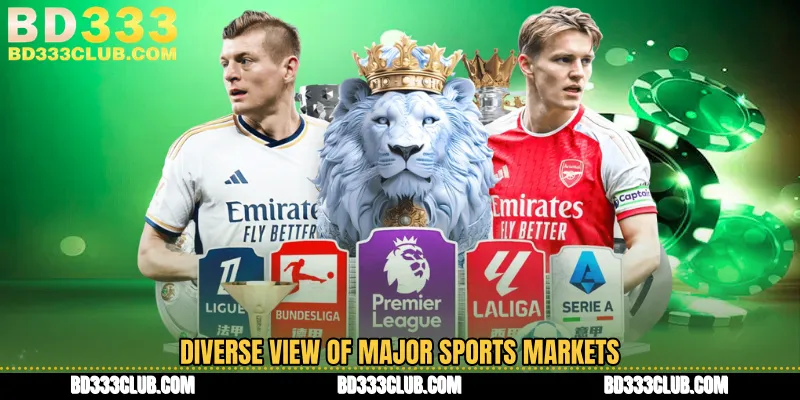 Diverse View Of Major Sports Markets
