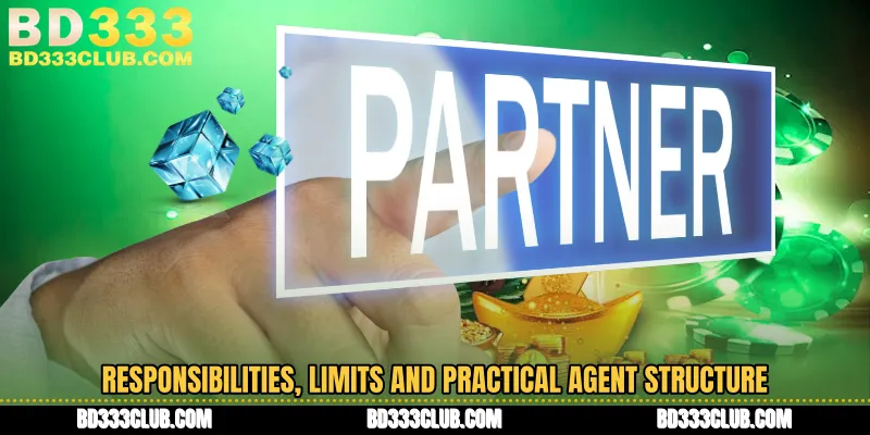 Responsibilities, Limits And Practical Agent Structure