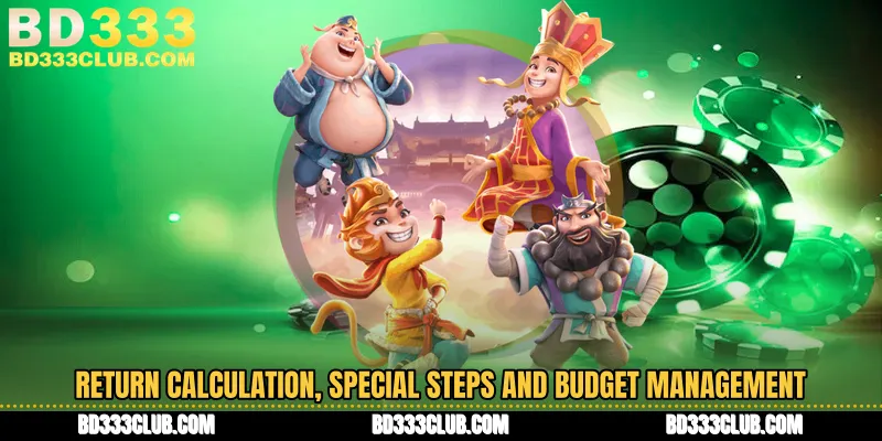 Return Calculation, Special Steps And Budget Management